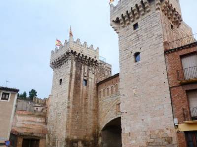 Daroca Salvaje_Gallocanta-Pinsapar de Orcajo; definicion de montaña isla de sicilia castro de ulaca 